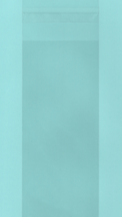 Crystal Clear Bags 2 3/4 x 8 1/2