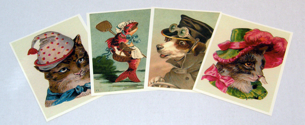 Post Cards - 4 Per Sheet White or Ivory
