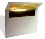 EnvA7GoldFL