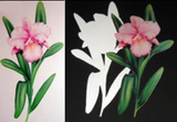 Repositionable Polyester Wall Decals Adhesive Inkjet Fabric