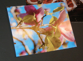 Blank Printable Photo Gloss Note Cards