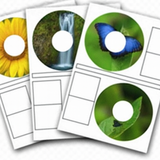 CD Stomper Labels