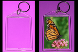 Key Chain Clear Snap Together Keychains 1 3/4" x 2 3/4"