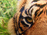 Canvas Sheet Close Up Texture